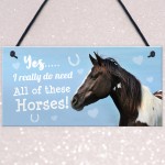 Funny Horse Lover Gift Horse Sign Funny Hanging Stable Door Sign