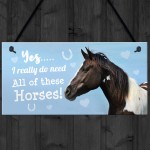 Funny Horse Lover Gift Horse Sign Funny Hanging Stable Door Sign