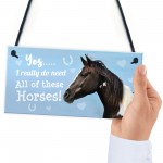 Funny Horse Lover Gift Horse Sign Funny Hanging Stable Door Sign