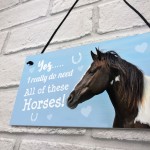 Funny Horse Lover Gift Horse Sign Funny Hanging Stable Door Sign