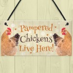 Chicken Coop Sign Funny Pampered Chicken Sign For Hen House