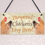 Chicken Coop Sign Funny Pampered Chicken Sign For Hen House