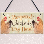 Chicken Coop Sign Funny Pampered Chicken Sign For Hen House