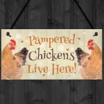 Chicken Coop Sign Funny Pampered Chicken Sign For Hen House