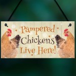 Chicken Coop Sign Funny Pampered Chicken Sign For Hen House