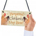 Chicken Coop Sign Funny Pampered Chicken Sign For Hen House