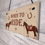 Horse Sign For Stable Plaque Horse Sign Funny Birthday Xmas Gift