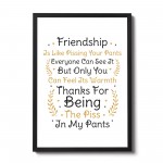 Best Friend Gift Funny Friendship Gift Framed Print Thank You