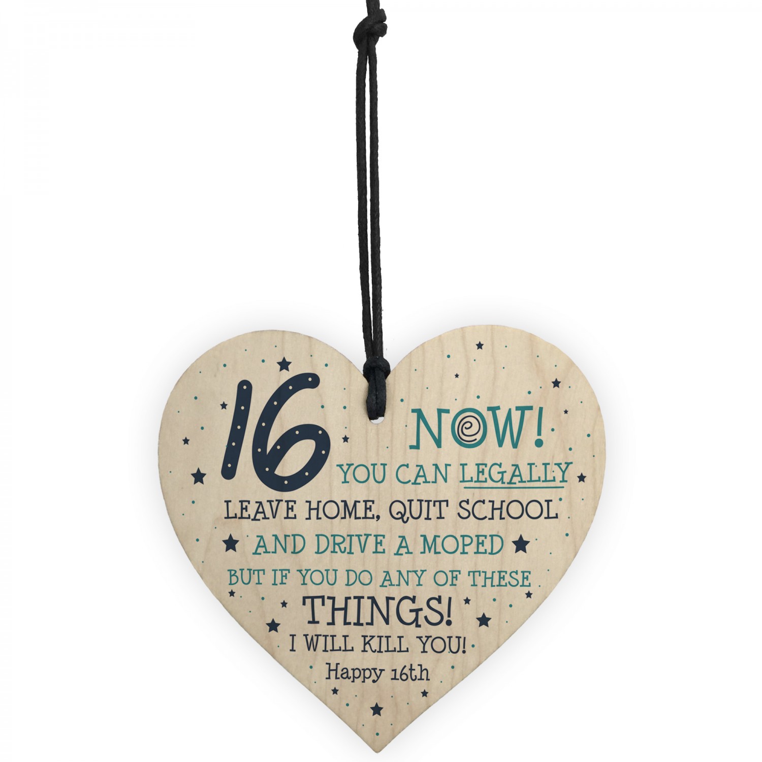 Funny 16th Birthday Gift Hanging Wood Heart Daughter Son Gifts