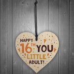 Funny 16th Birthday Card Wooden Hanging Heart Sixteenth Gift