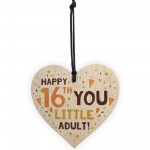 Funny 16th Birthday Card Wooden Hanging Heart Sixteenth Gift