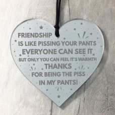 Friendship Plaque Acrylic Heart Best Friend Gift For Birthday