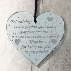 Best Friend Gifts Funny Acrylic Heart Friendship Gift Keepsake