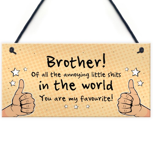 Brother Gift For Him Funny Brother Birthday Christmas Gift