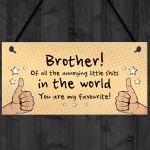 Brother Gift For Him Funny Brother Birthday Christmas Gift