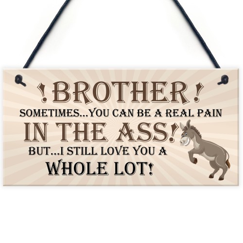 Brother Birthday Gift Brother Christmas Gift Hanging Sign Funny