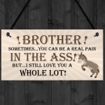 Brother Birthday Gift Brother Christmas Gift Hanging Sign Funny