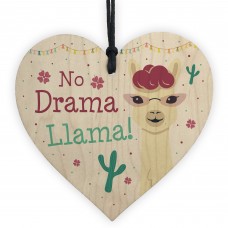 Llama Gift Novelty Friendship Gift Funny Birthday Gift For Girls