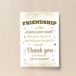 Thank You Best Friend Novelty Friendship Gift Printed Friends