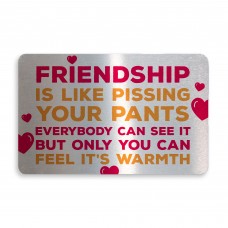 Novelty Friendship Gift METAL Wallet Card For Purse Funny Gift