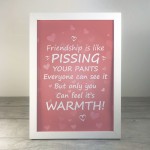Funny Best Friend Gift Framed Print Friendship Sign Thank You