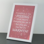 Funny Best Friend Gift Framed Print Friendship Sign Thank You