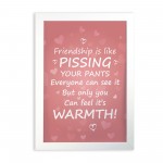 Funny Best Friend Gift Framed Print Friendship Sign Thank You