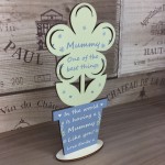 Mothers Day Gift For Mummy Personalised Flower From Daughter Son