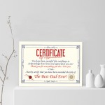 Funny Unusual Gift For Dad Certificate Fathers Day Birthday Gift
