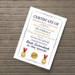 Novelty Certificate Fathers Day Birthday Funny Grandad Gift 