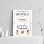 Novelty Certificate Fathers Day Birthday Funny Grandad Gift 