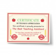 Gift For Best Teaching Assistant Leaving School Nursery Gift