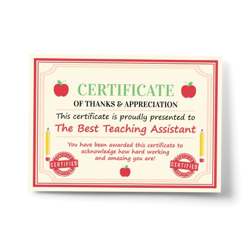 Gift For Best Teaching Assistant Leaving School Nursery Gift