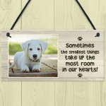 Personalised Dog Photo Gift Plaque Novelty Pet Gift Animal Lover