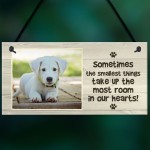 Personalised Dog Photo Gift Plaque Novelty Pet Gift Animal Lover