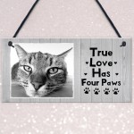 Personalised Shabby Chic Cat Sign Image Cat Lover Gift Pet Sign