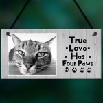 Personalised Shabby Chic Cat Sign Image Cat Lover Gift Pet Sign