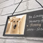 Personalised Photo Plaque Gift For Dog Animal Lover Novelty Gift