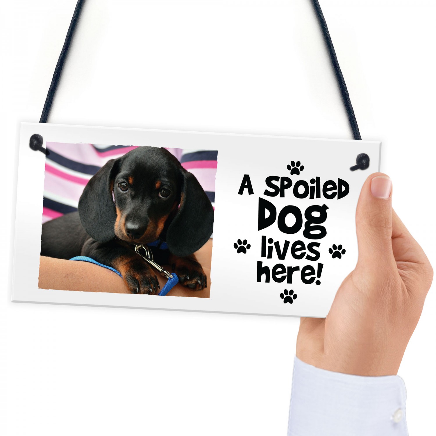 Personalised pet accessories cheap