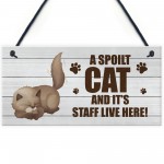 Novelty Funny Cat Sign Pet Sign Pet Gift For Family Home Decor