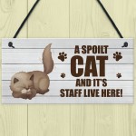 Novelty Funny Cat Sign Pet Sign Pet Gift For Family Home Decor