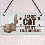 Novelty Funny Cat Sign Pet Sign Pet Gift For Family Home Decor