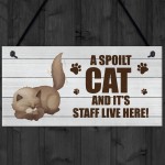 Novelty Funny Cat Sign Pet Sign Pet Gift For Family Home Decor