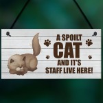 Novelty Funny Cat Sign Pet Sign Pet Gift For Family Home Decor