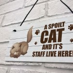 Novelty Funny Cat Sign Pet Sign Pet Gift For Family Home Decor