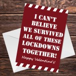 Funny Hilarious Valentines Day Card For Him Her Lockdown Design