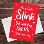 Valentines Day Anniversary Card Funny Rude Boyfriend Girlfriend