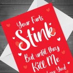 Valentines Day Anniversary Card Funny Rude Boyfriend Girlfriend