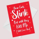 Valentines Day Anniversary Card Funny Rude Boyfriend Girlfriend