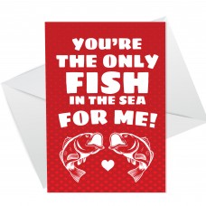 Novelty Anniversary Valentines Day Card For Him Her Funny Card